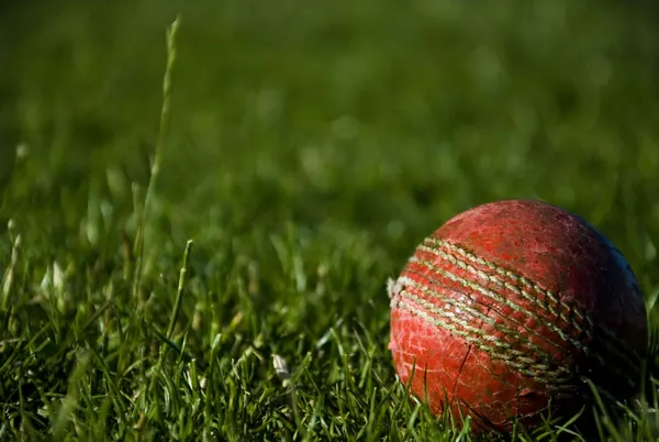 Cricket ball on grass